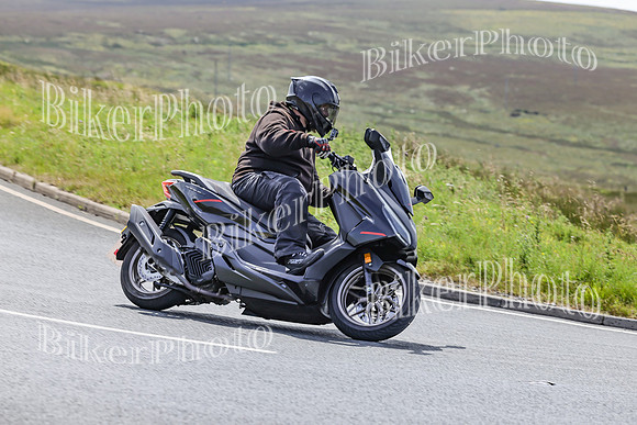 BikerPhoto (3362 of 7008)