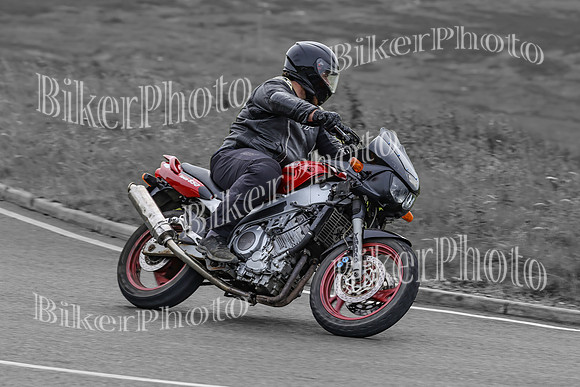 BikerPhoto (3990 of 7008)