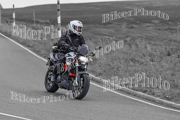 BikerPhoto (4818 of 7008)