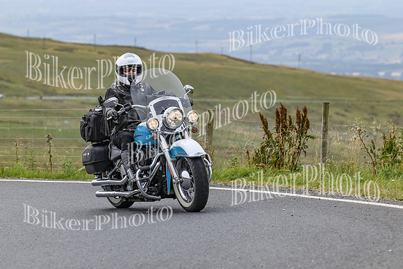 BikerPhoto (4022 of 7008)