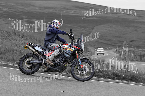 BikerPhoto (4097 of 7008)