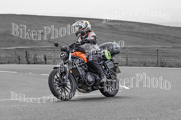 BikerPhoto (4125 of 7008)