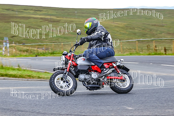 BikerPhoto (3308 of 6381)