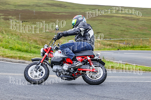 BikerPhoto (3310 of 6381)