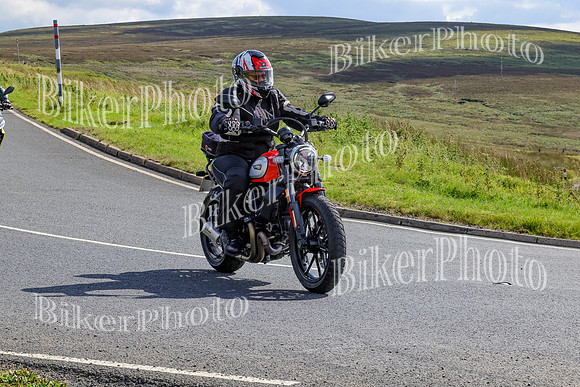 BikerPhoto (4777 of 5778)