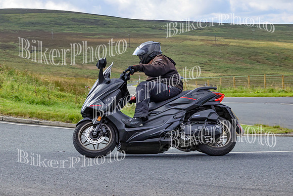 BikerPhoto (765 of 5778)