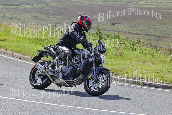 BikerPhoto (1963 of 6941)