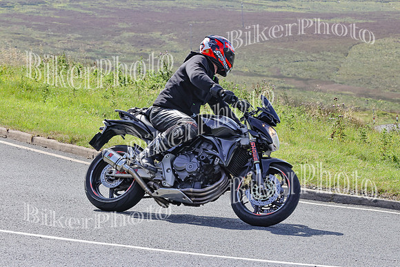 BikerPhoto (1964 of 6941)
