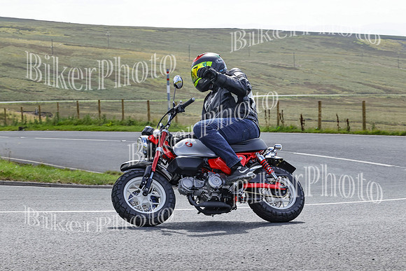 BikerPhoto (4252 of 6941)