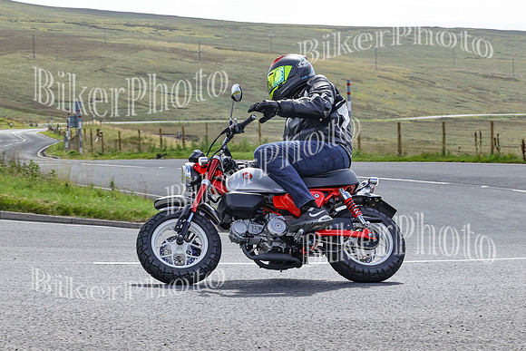 BikerPhoto (4253 of 6941)