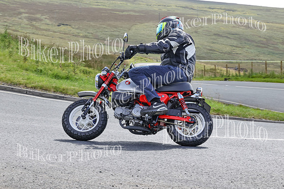 BikerPhoto (4254 of 6941)
