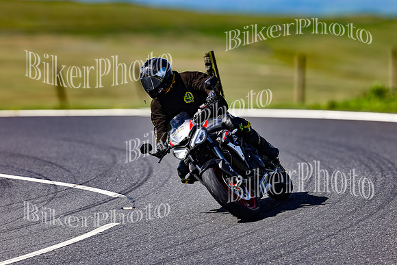 Daves (48)
