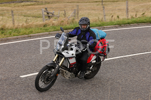Dave - 3N3A061400 (155)