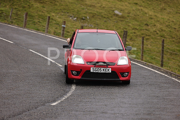 Steve - 3N3A9999 (1589)