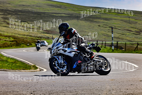 Daves (36)