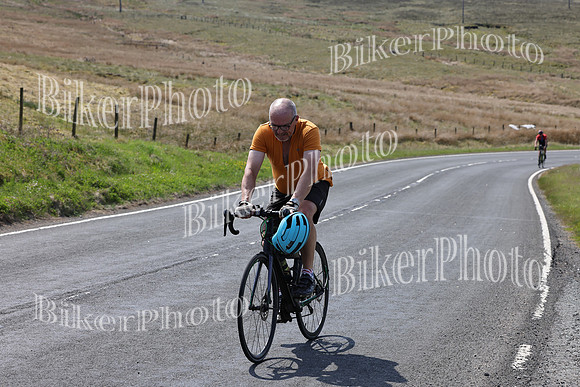 Dave (59)