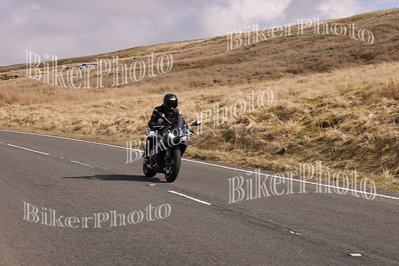 Dave 3N3A2350 (37)