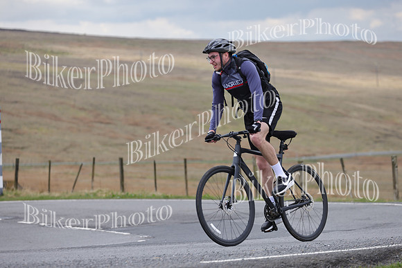Dave (1451)