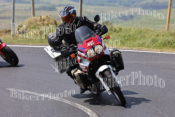 Dave (72)
