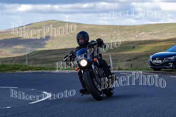 Jonny 5 (683)