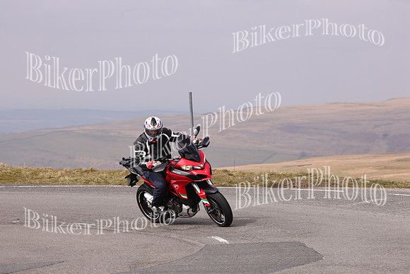 Dave 3N3A2350 (688)