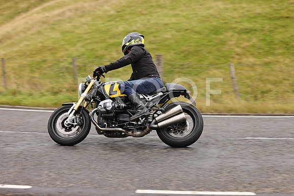 Steve - 3N3A9999 (991)
