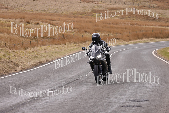 Dave 3N3A2350 (24)