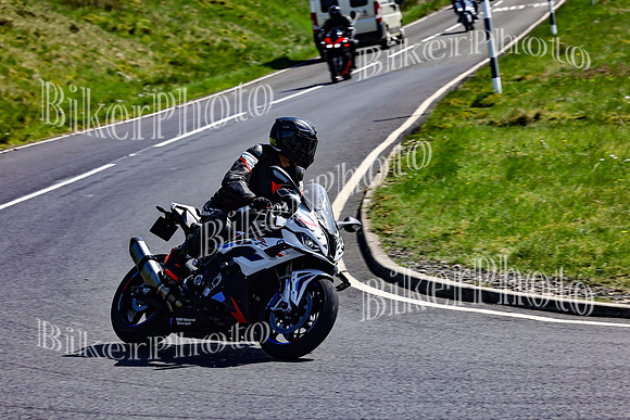 Daves (125)
