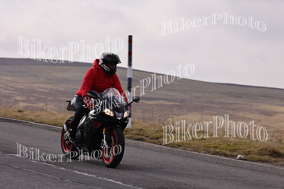 Dave 3N3A2350 (96)