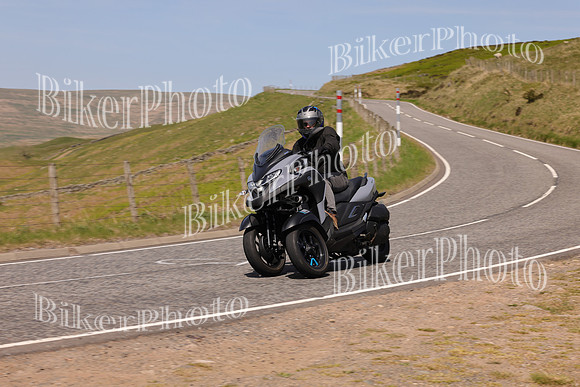 Steve (6367)