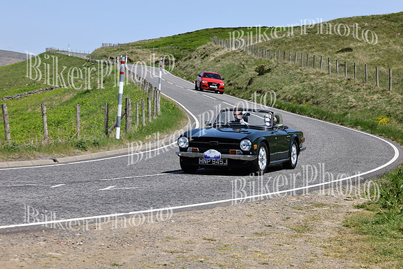 Steve (3344)