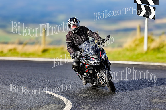 250A2019