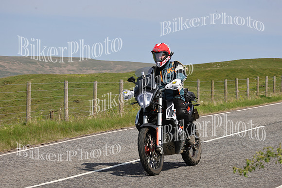 Dave (65)