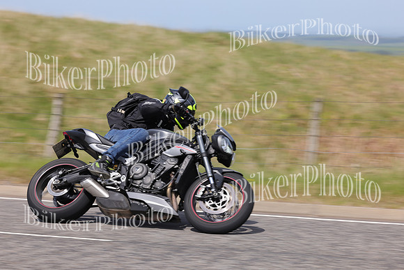 Steve (3673)