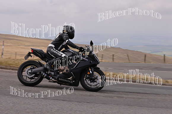 Dave 3N3A2350 (130)