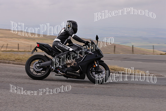 Dave 3N3A2350 (131)