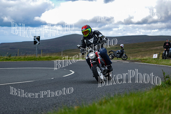 Jonny 5 (769)