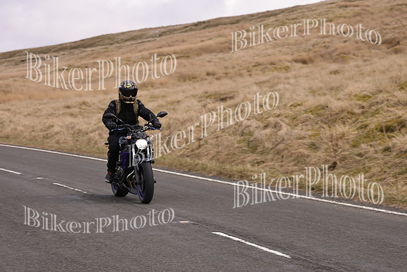 Dave 3N3A2350 (52)
