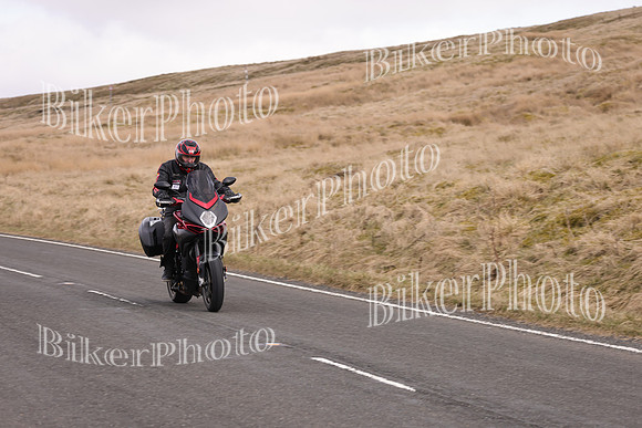 Dave 3N3A2350 (66)