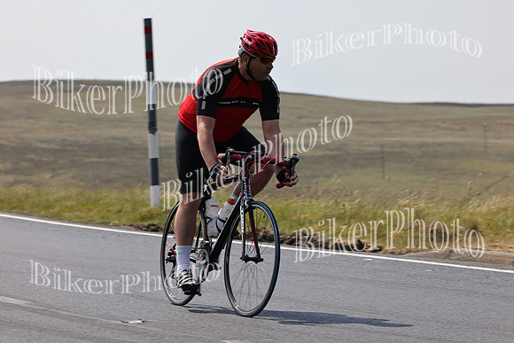 Dave (260)