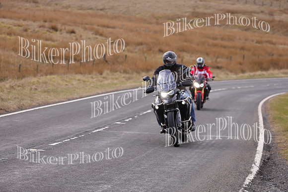 Dave 3N3A2350 (42)