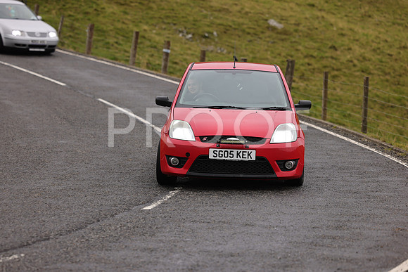 Steve - 3N3A9999 (1593)