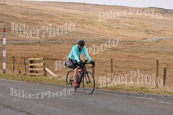 Dave 3N3A1705 (19)