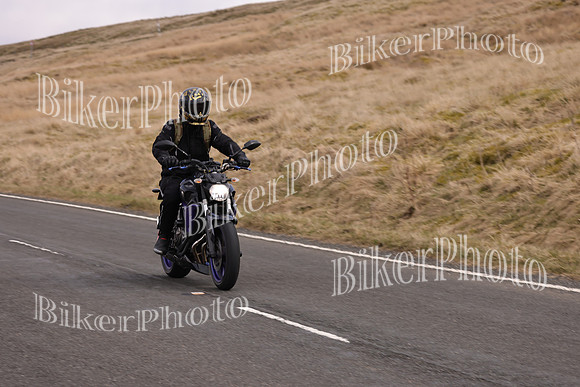 Dave 3N3A2350 (55)