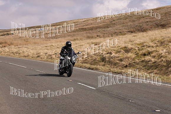 Dave 3N3A2350 (36)