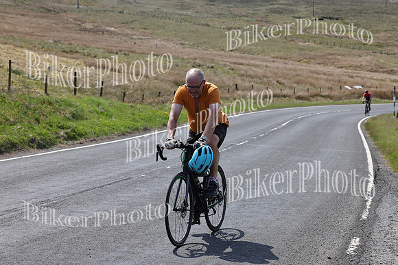 Dave (58)