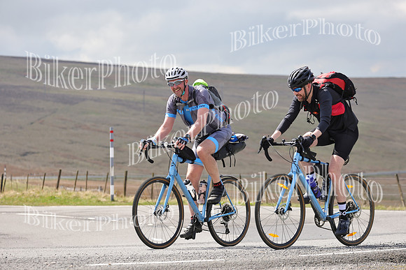 Dave (1353)