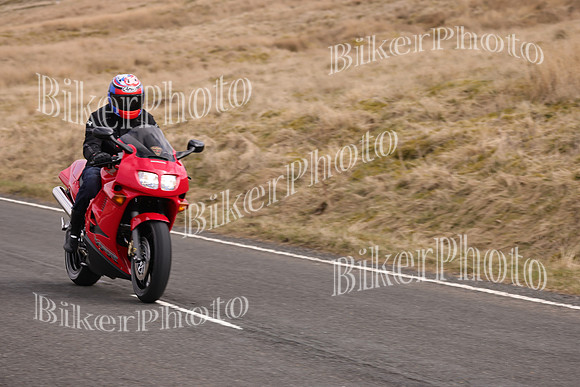 Dave 3N3A2350 (72)