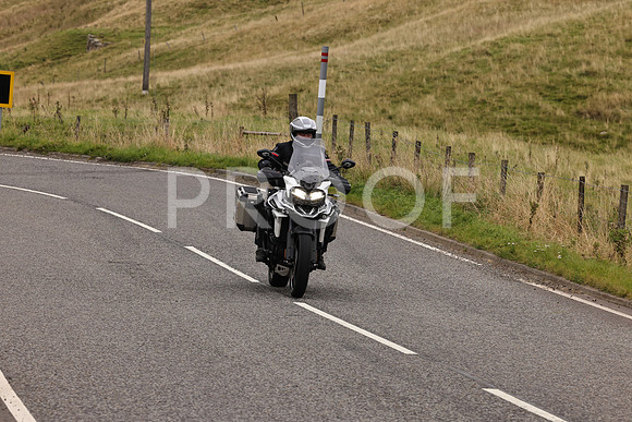Steve - 3N3A9999 (3048)