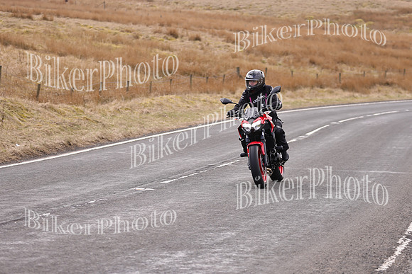 Dave 3N3A2350 (7)